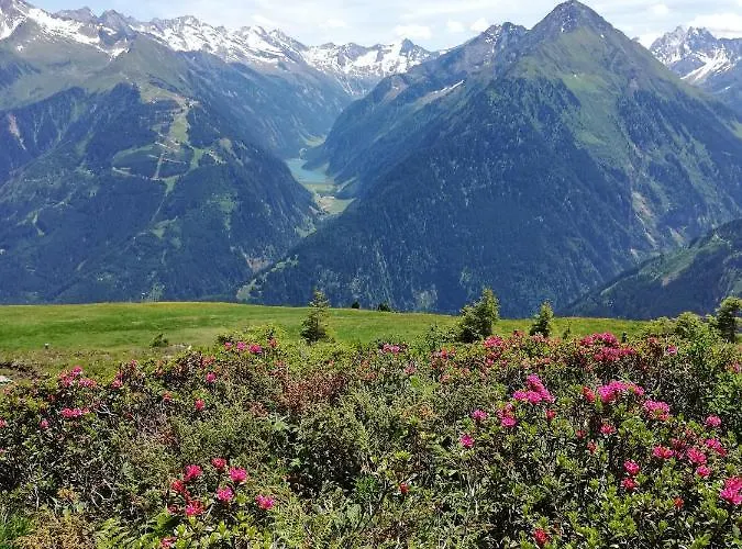 Pensión Gaestehaus Tramnitz