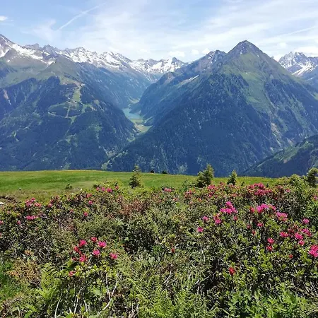 Pensión Gaestehaus Tramnitz